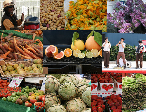 March 8 Farmer's Market Collage