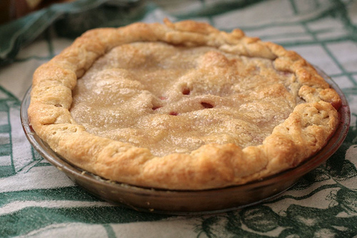 Plum Pie with Foolproof Crust