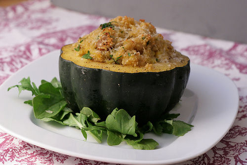 Acorn Squash 1