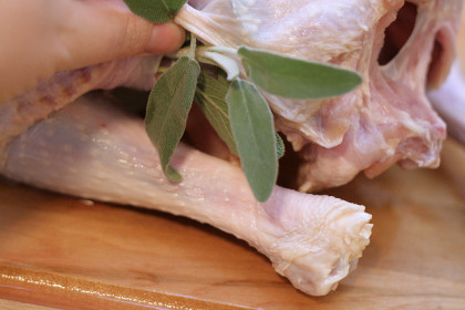 Thanksgiving Turkey