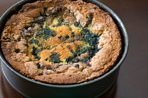 Blueberry Cornmeal Cake 2