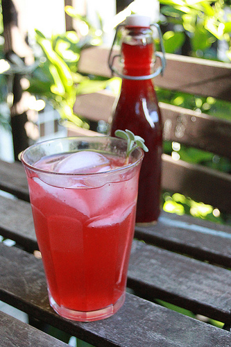 Berry Shrub Cocktail