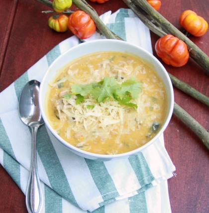 Easy White Chicken Chili with Pumpkin