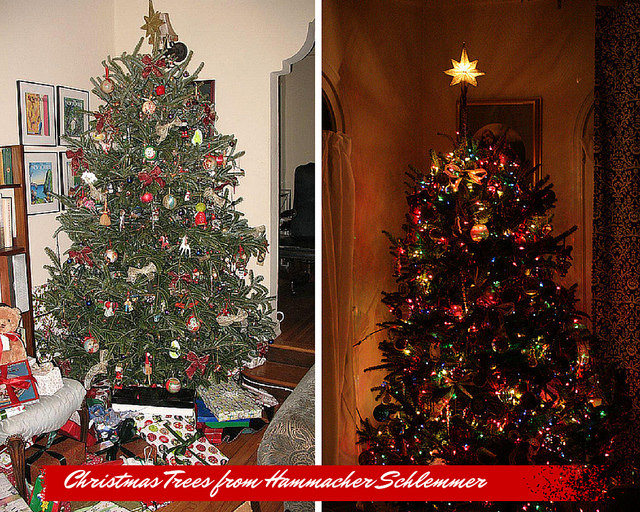 Real Christmas Trees online