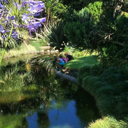 Children Exploring in Summer