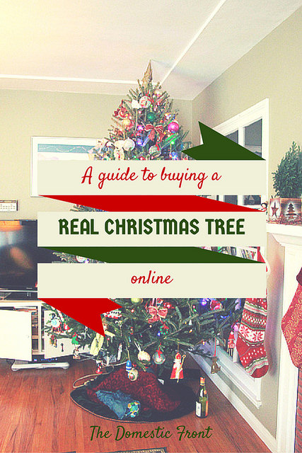 Live Christmas Tree Online Buying Guide.